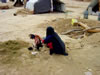 Woman Plucking a Chicken